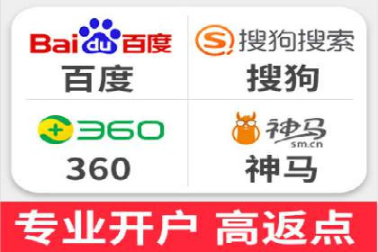 成功SEM服务案例分析报告