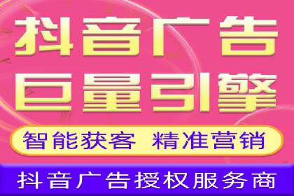 顶级SEM服务公司案例解析